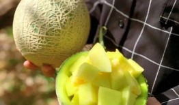 最近娱乐圈可以吃的瓜,明星们的甜蜜与苦涩